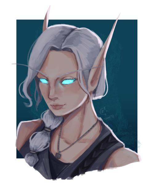 My friend's high elf!